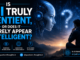 Is AI truly sentient or does it merely appear intelligent