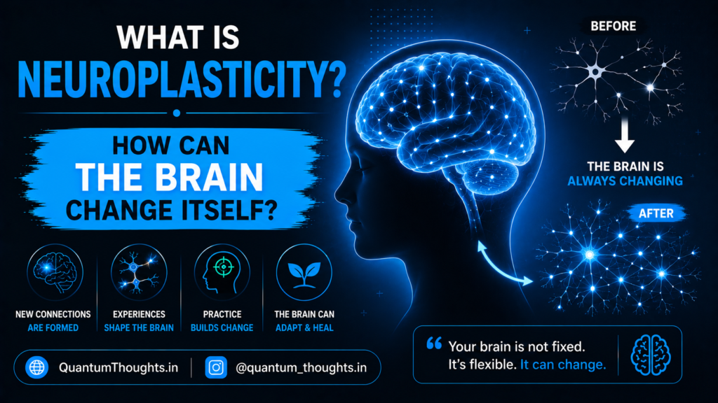 What is neuroplasticity How can the brain change itself