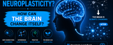 What is neuroplasticity How can the brain change itself