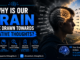 why our brain attract towards negative brain