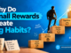 Why Do Small Rewards Create Big Habits?