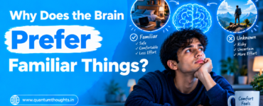 Why Does the Brain Prefer Familiar Things?