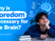 Why is boredom necessary for the brain?